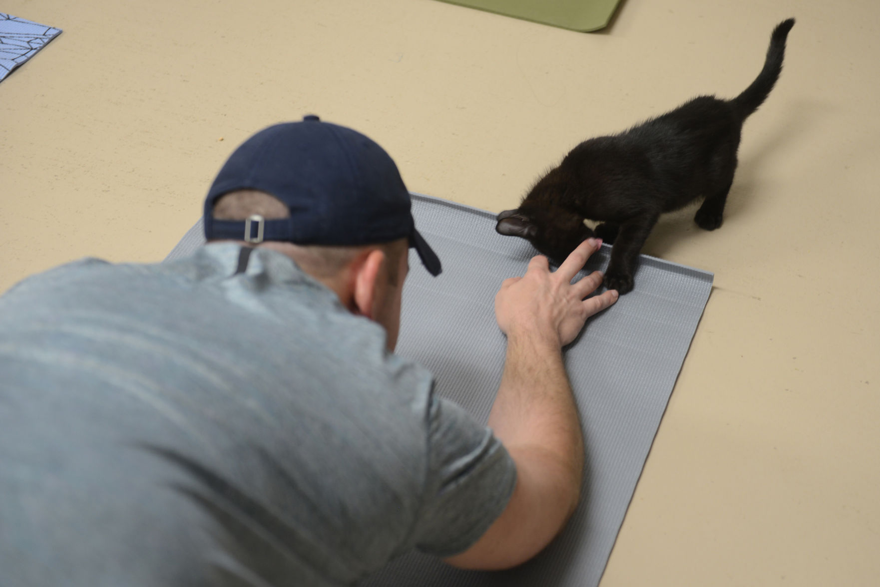 Cat Yoga at Aggieland Humane Society